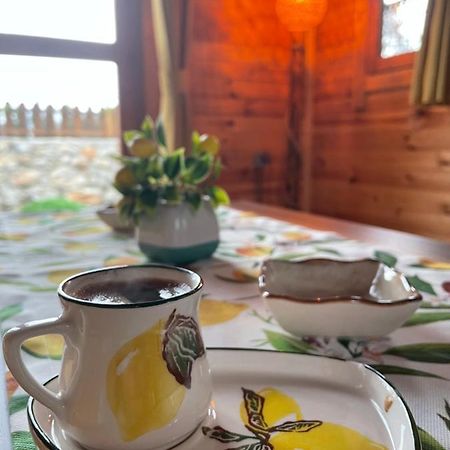 Andızaltı Doğa Evleri Limon Ev Datça Vila Exterior foto