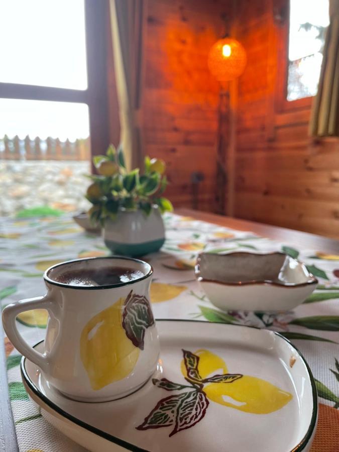Andızaltı Doğa Evleri Limon Ev Datça Vila Exterior foto